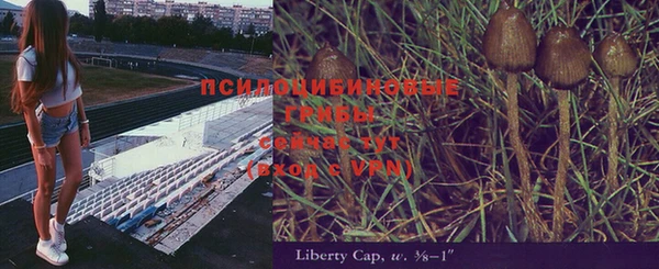 марки nbome Абаза