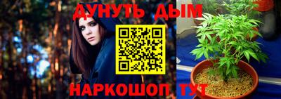 стаф Рязань