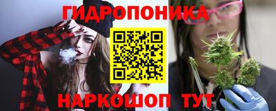 стаф Рязань