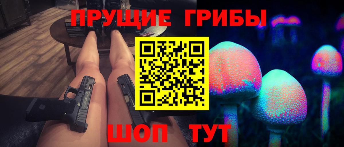 Псилоцибиновые грибы Cubensis Старая Купавна