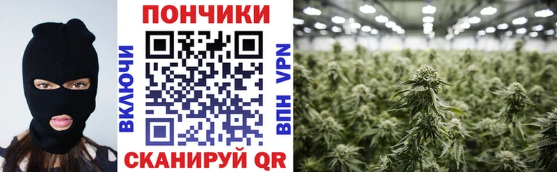 блэк спрут онион Старая Купавна МАРИХУАНА марихуана